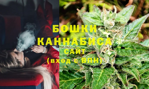 крисы Аркадак
